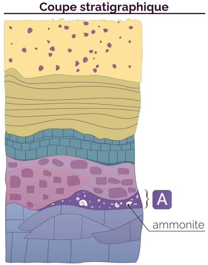 Stratigraphie